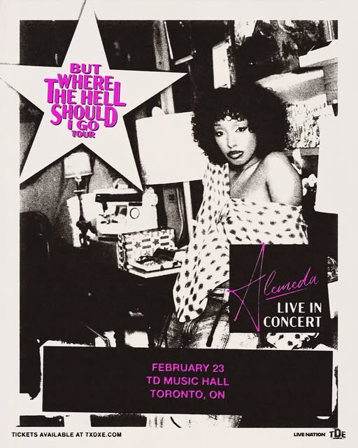 Alemeda Brings a New Wave of Pop-Punk Energy to TD Music Hall